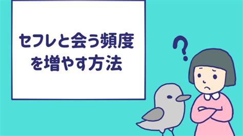 セフレ と 会う 頻度